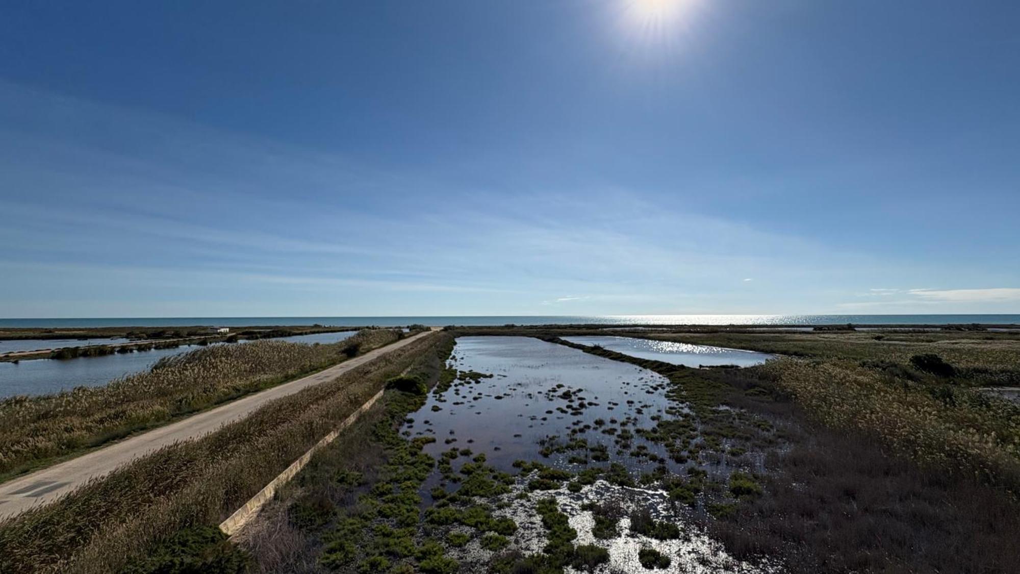 Appartamento Vibra Delta Sant Jaume d'Enveja Esterno foto